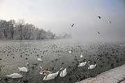 Attersee (©Foto: MK Salzburg)